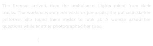 The firemen arrived, then the ambulance. Lights raked from their trucks. The workers wore neon vests or jumpsuits, the police in darker uniforms. She found them easier to look at. A woman asked her questions while another photographed her tires.

READ IT NOW ›› | DOWNLOAD »