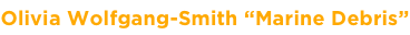 shapeimage_85_link_4