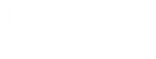 the 2020 
flash issue