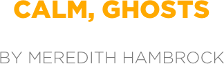 calm, ghosts

by meredith hambrock
