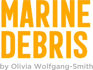Marine debris
by Olivia Wolfgang-Smith