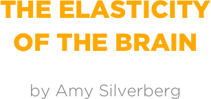 THE ELASTICITY
OF THE BRAIN

by Amy Silverberg